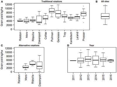 Impact of Climate Change Adaptation Strategies on Winter Wheat and Cropping System Performance across Precipitation Gradients in the Inland Pacific Northwest, USA